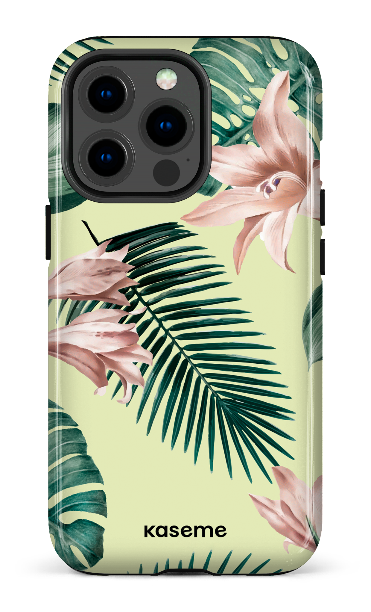 Maui - iPhone 13 Pro