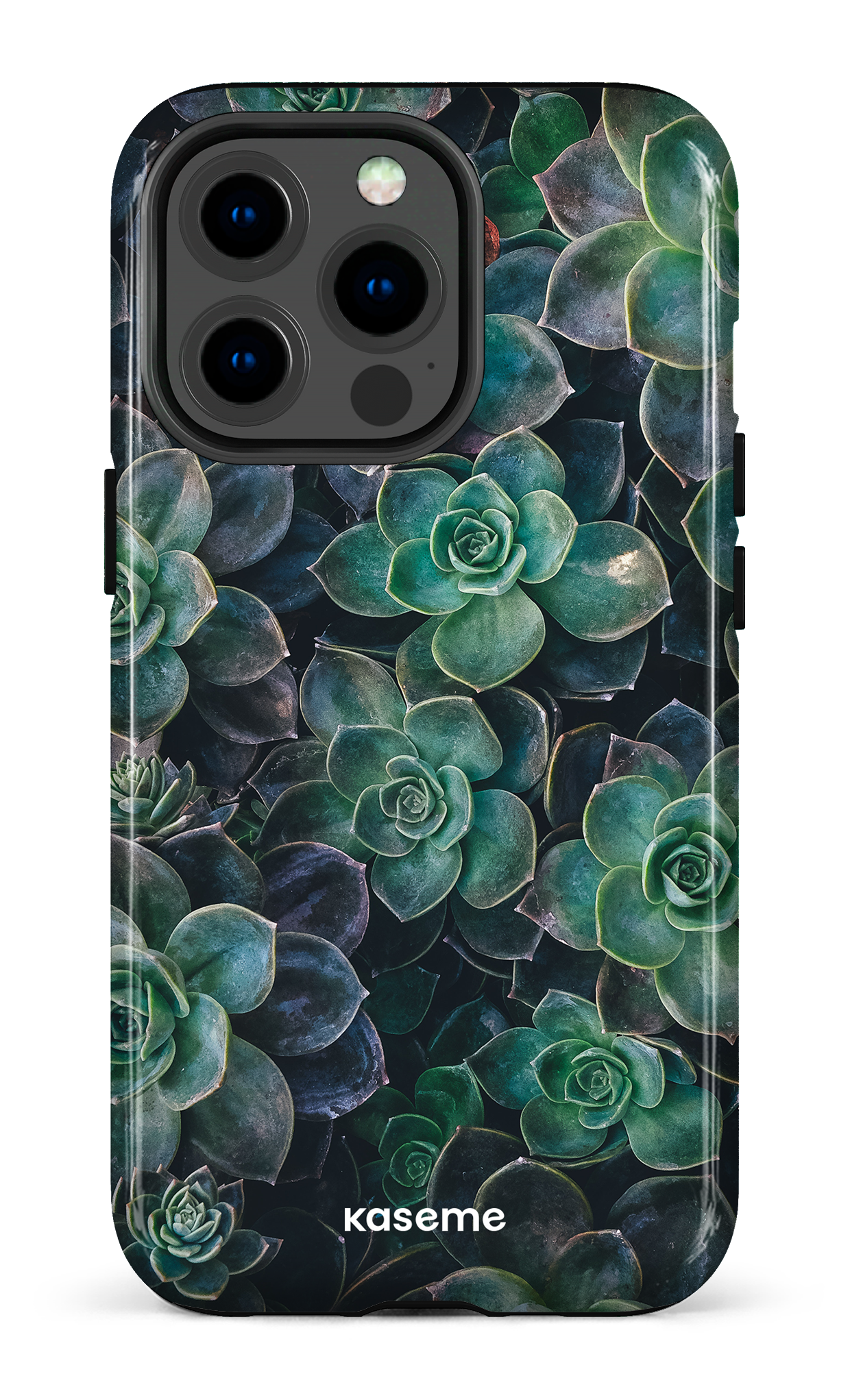Succulente - iPhone 13 Pro