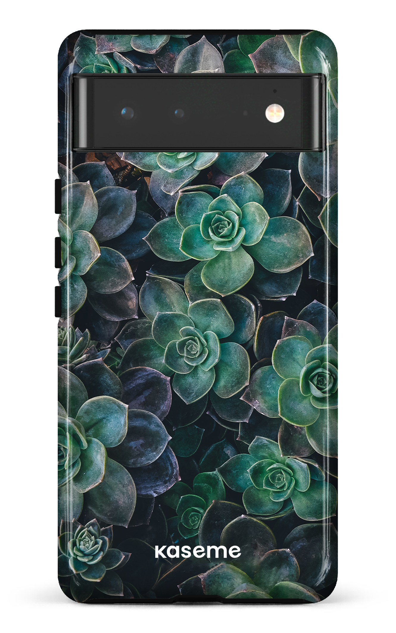 Succulente - Google Pixel 6