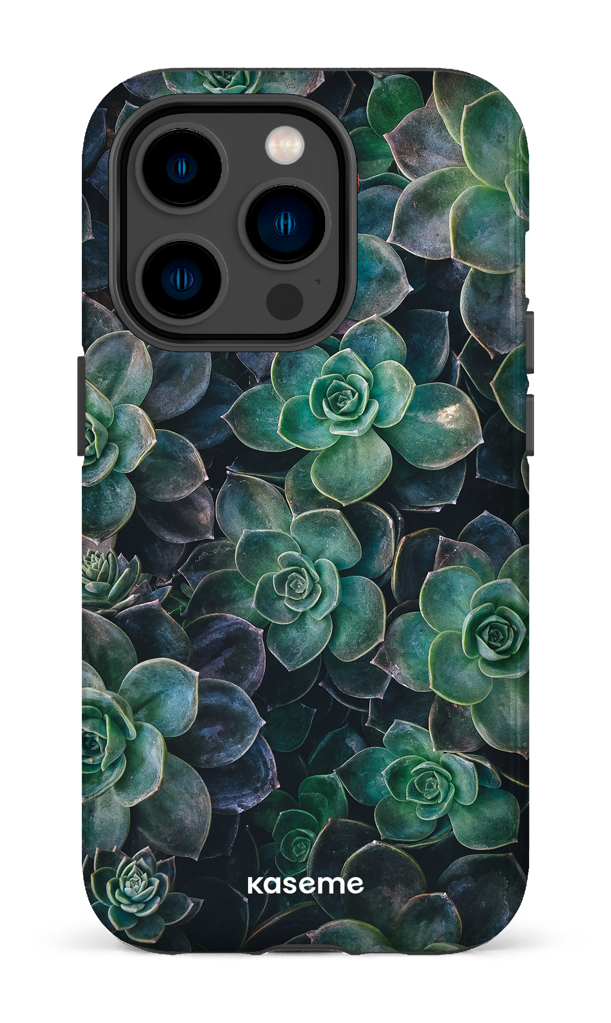 Succulente - iPhone 14 Pro