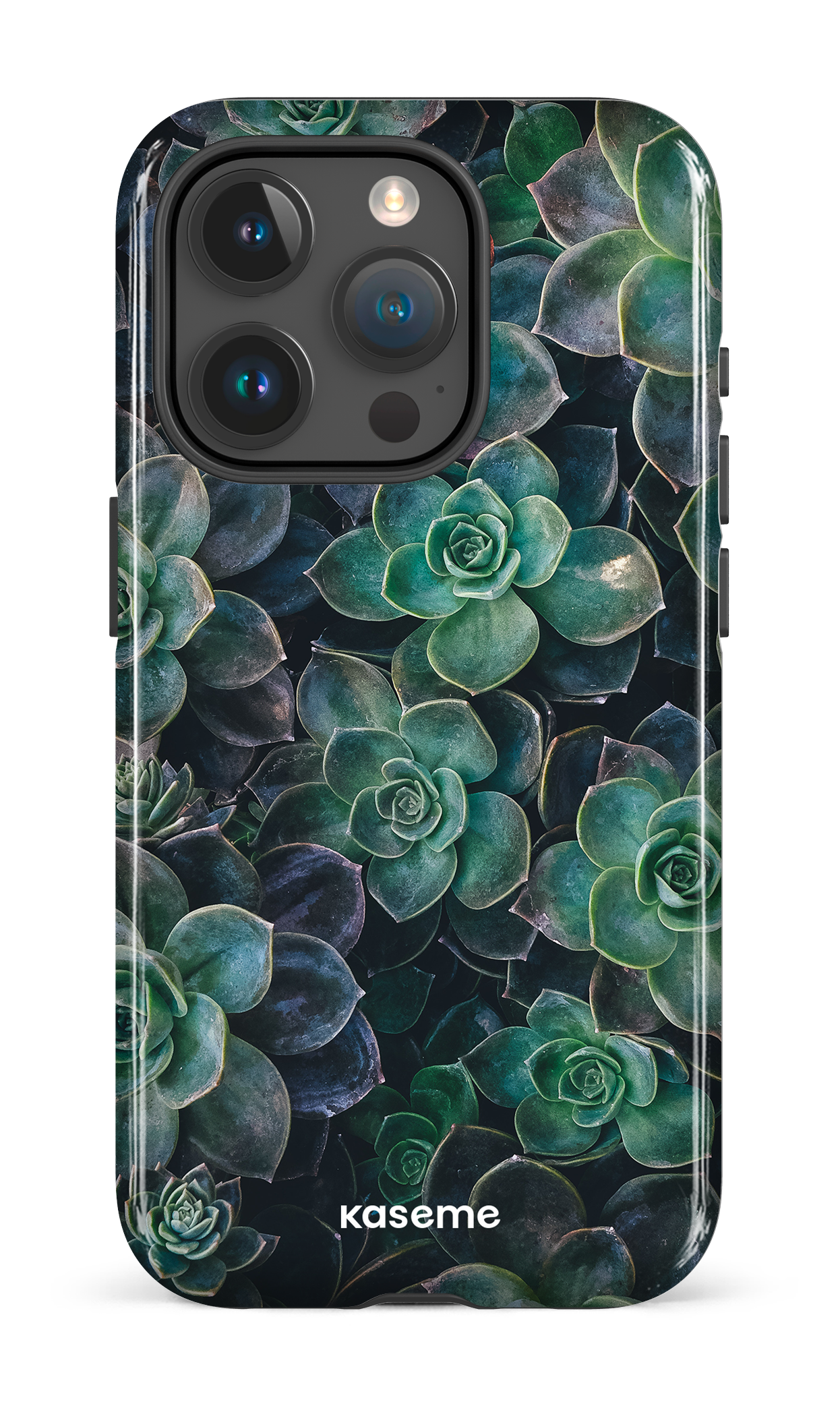 Succulente - iPhone 15 Pro