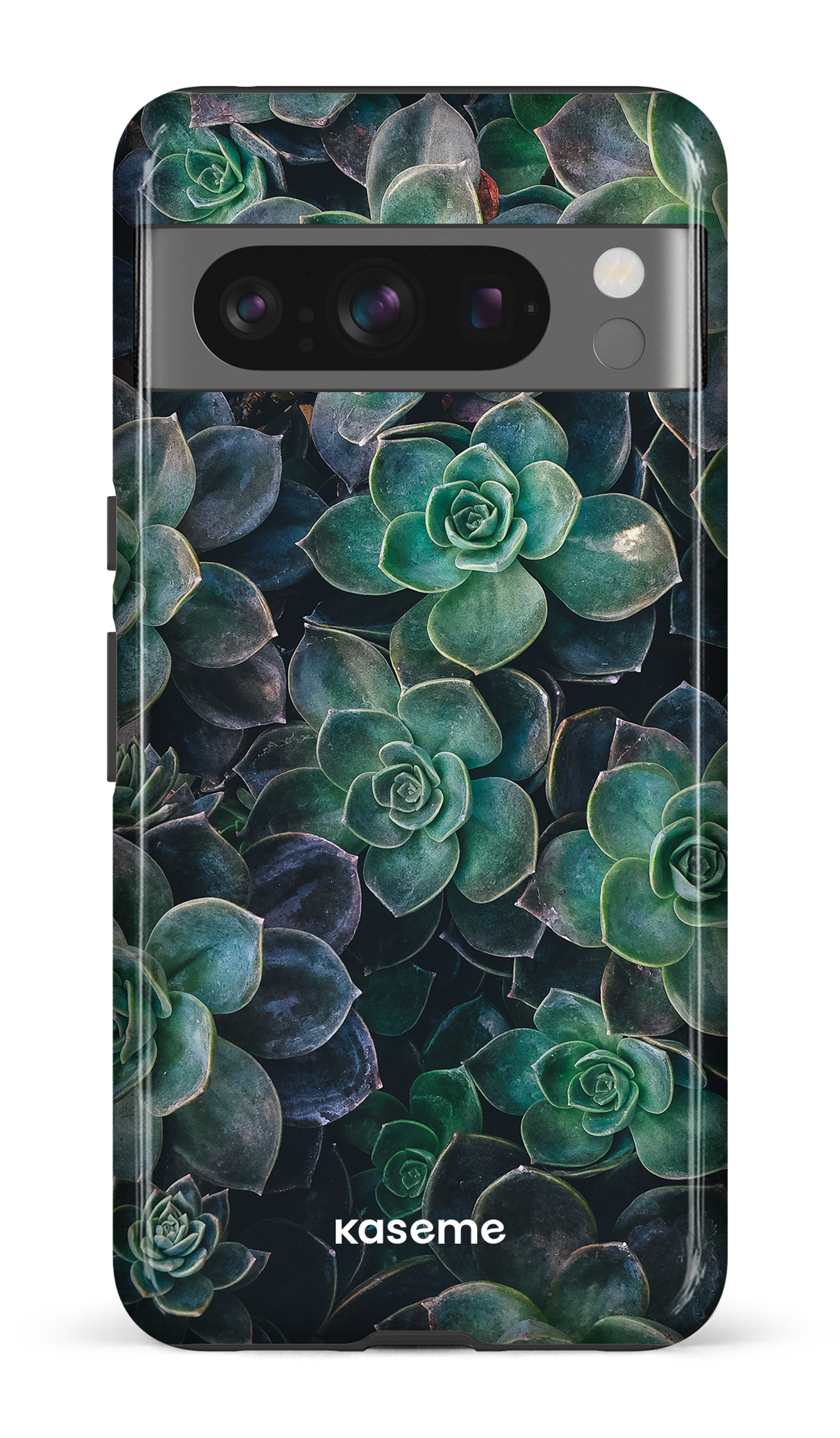 Succulente - Google Pixel 8 Pro