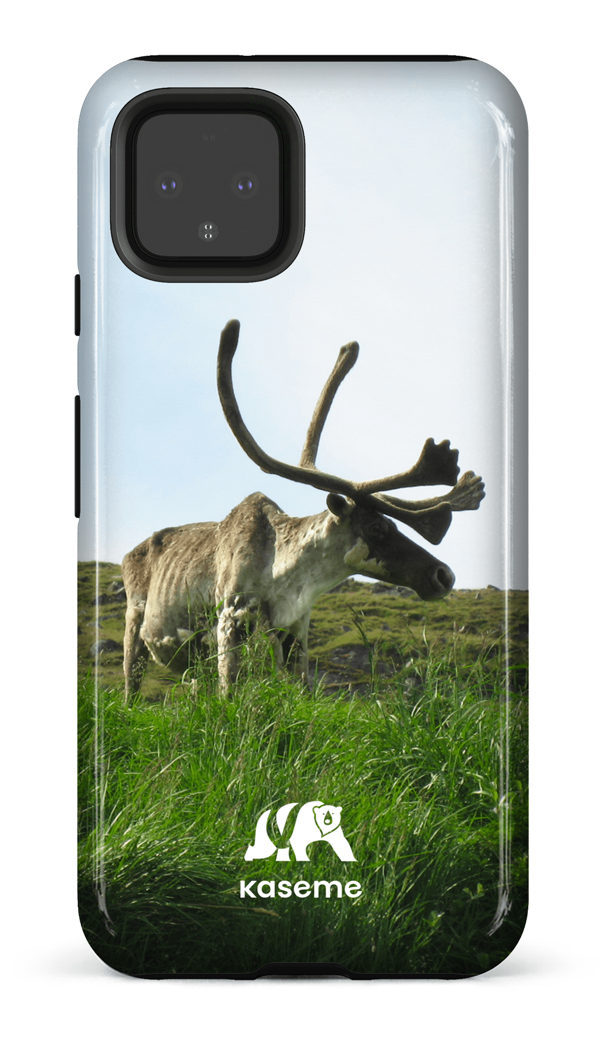 Caribou - Google Pixel 4