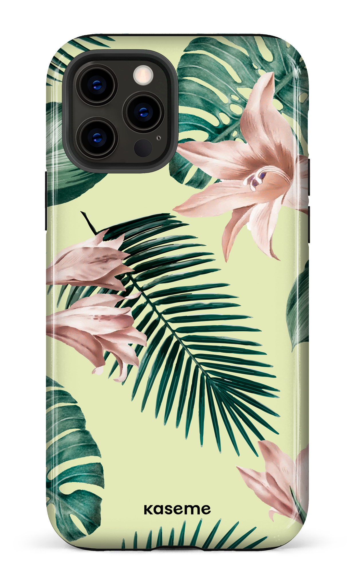 Maui - iPhone 12 Pro