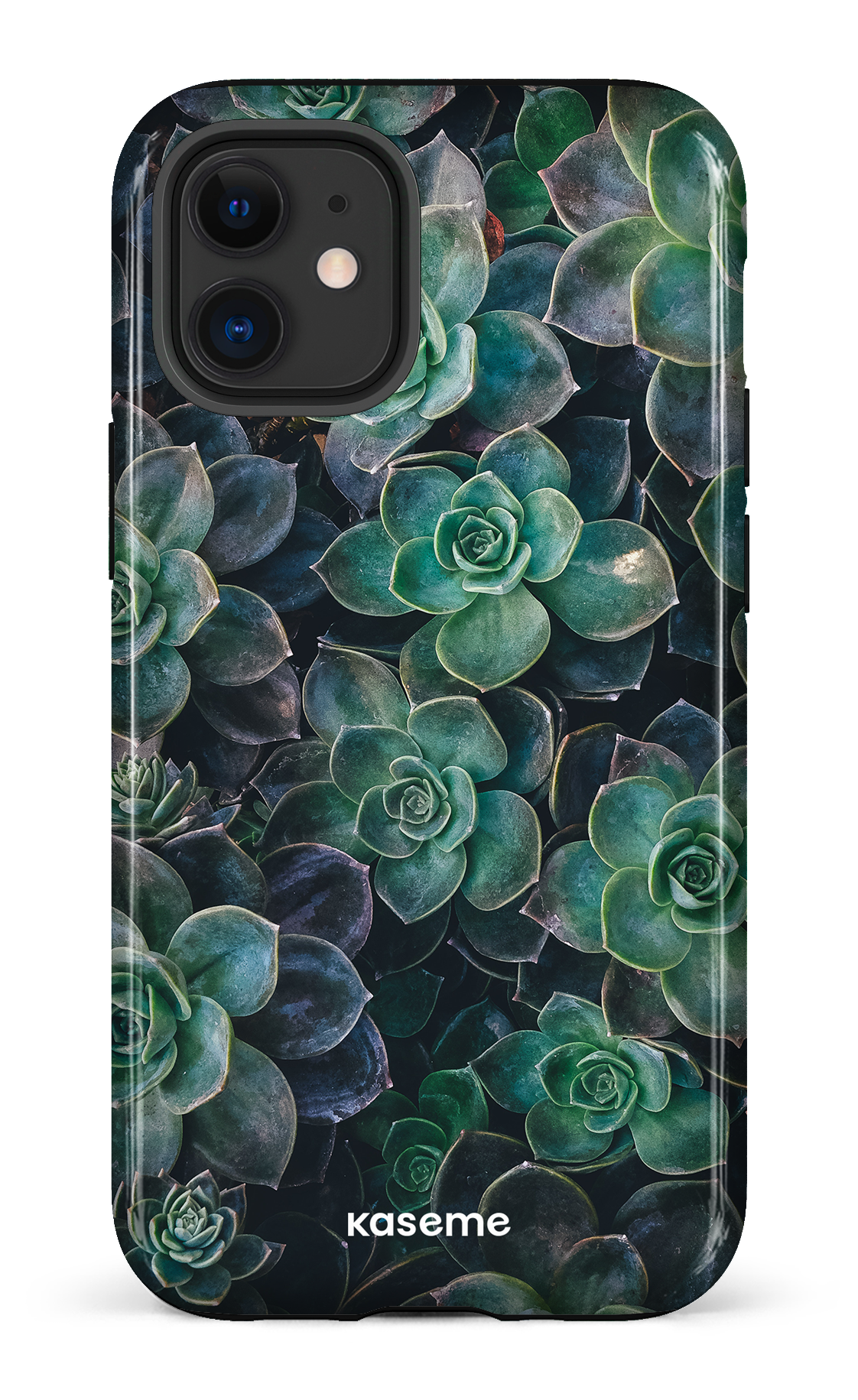 Succulente - iPhone 12 Mini
