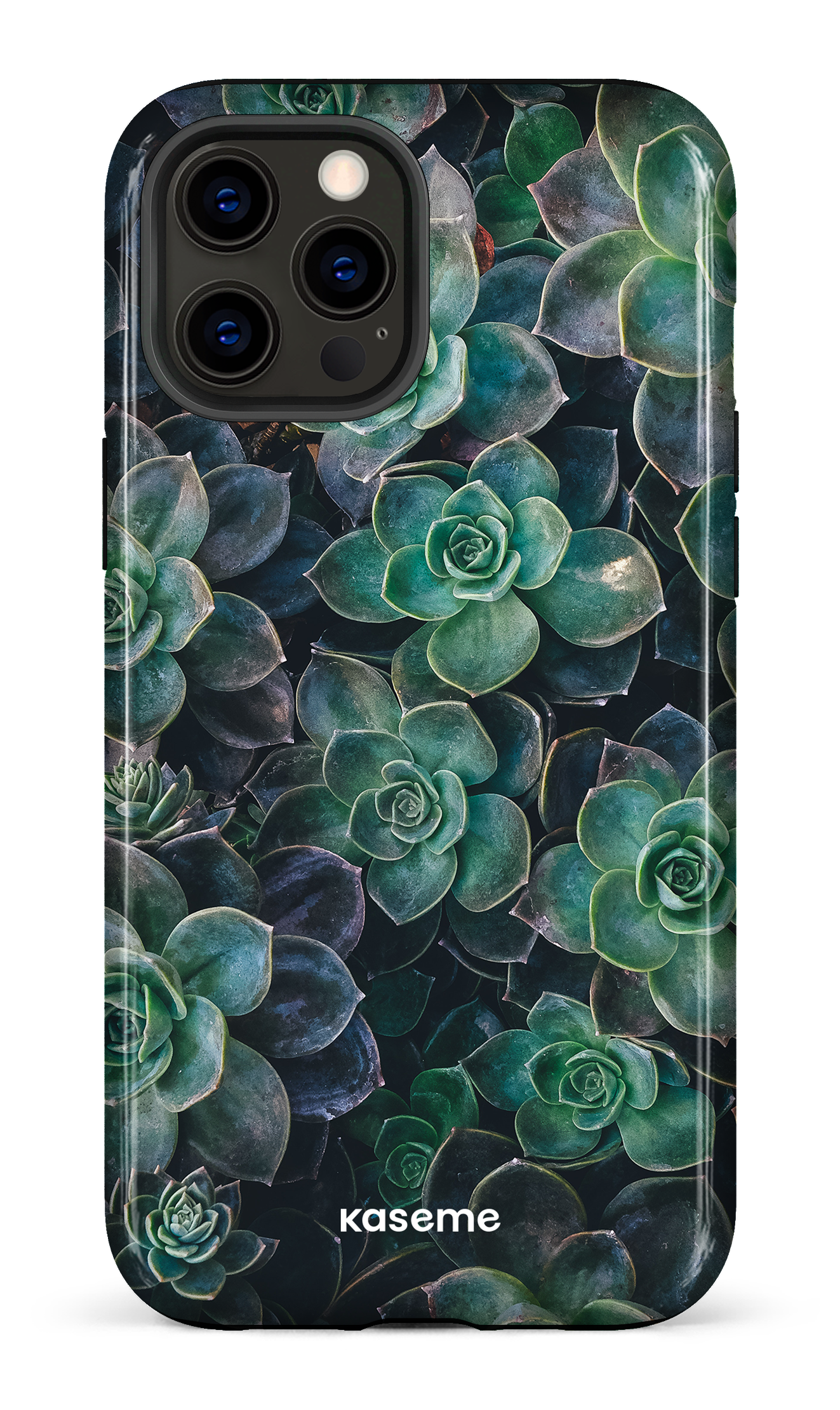 Succulente - iPhone 12 Pro Max