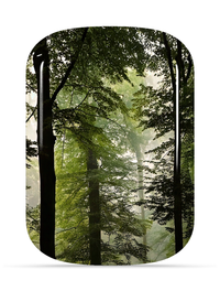 ChargePods Shell only Lost ChargePods -