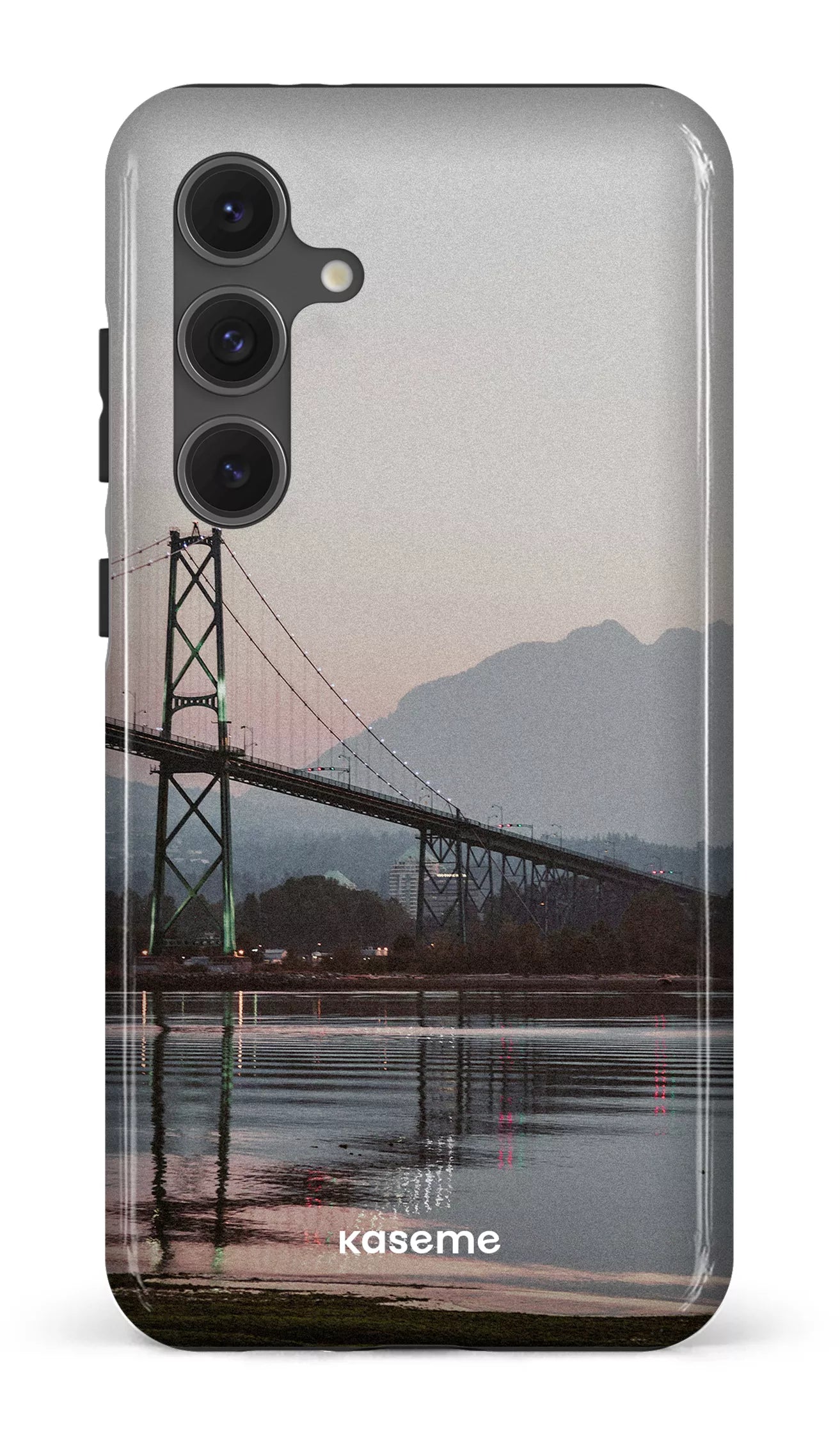 Galaxy S24FE Tough Lions View -