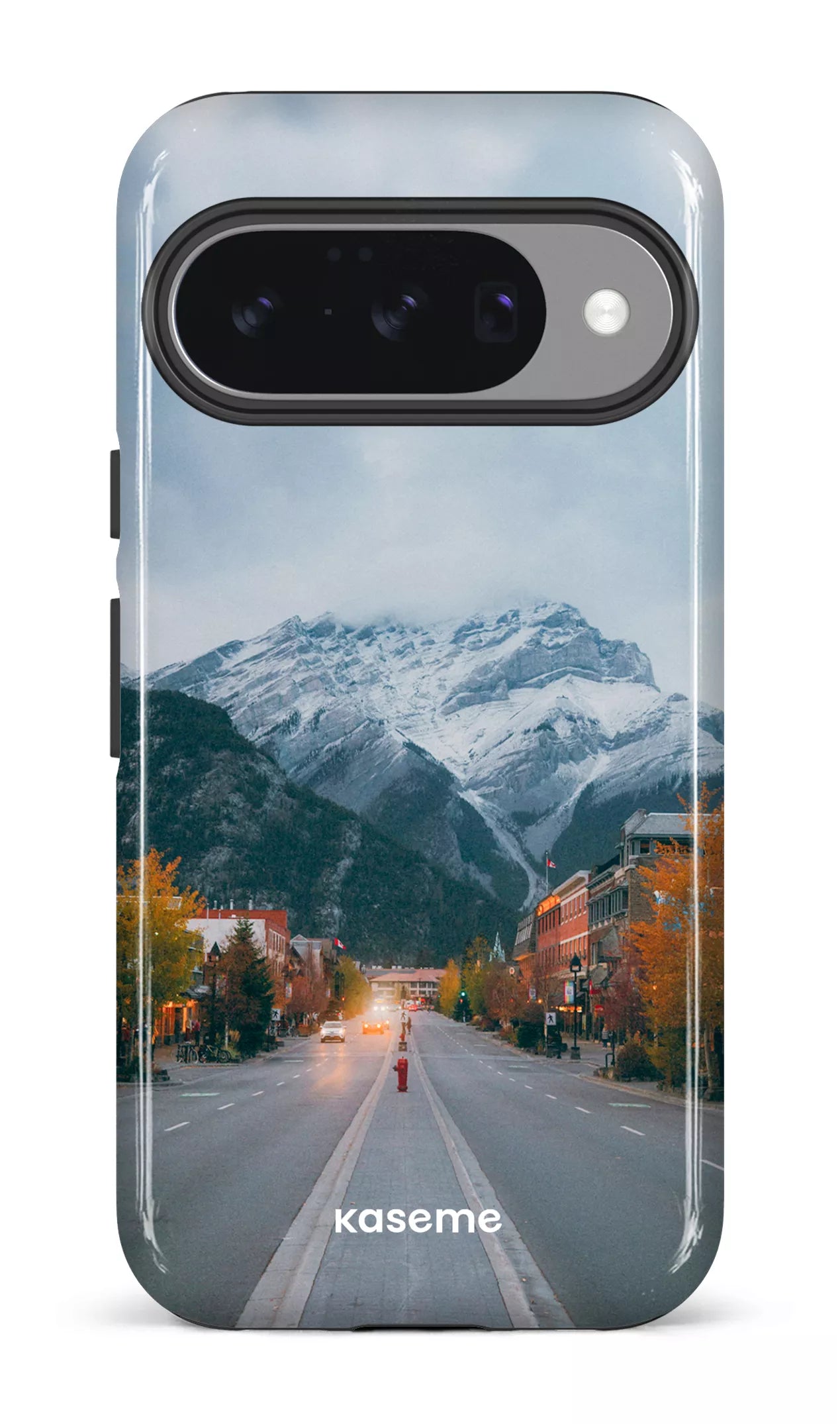 Google Pixel 10 Impact (Gloss) Whistler Pines -