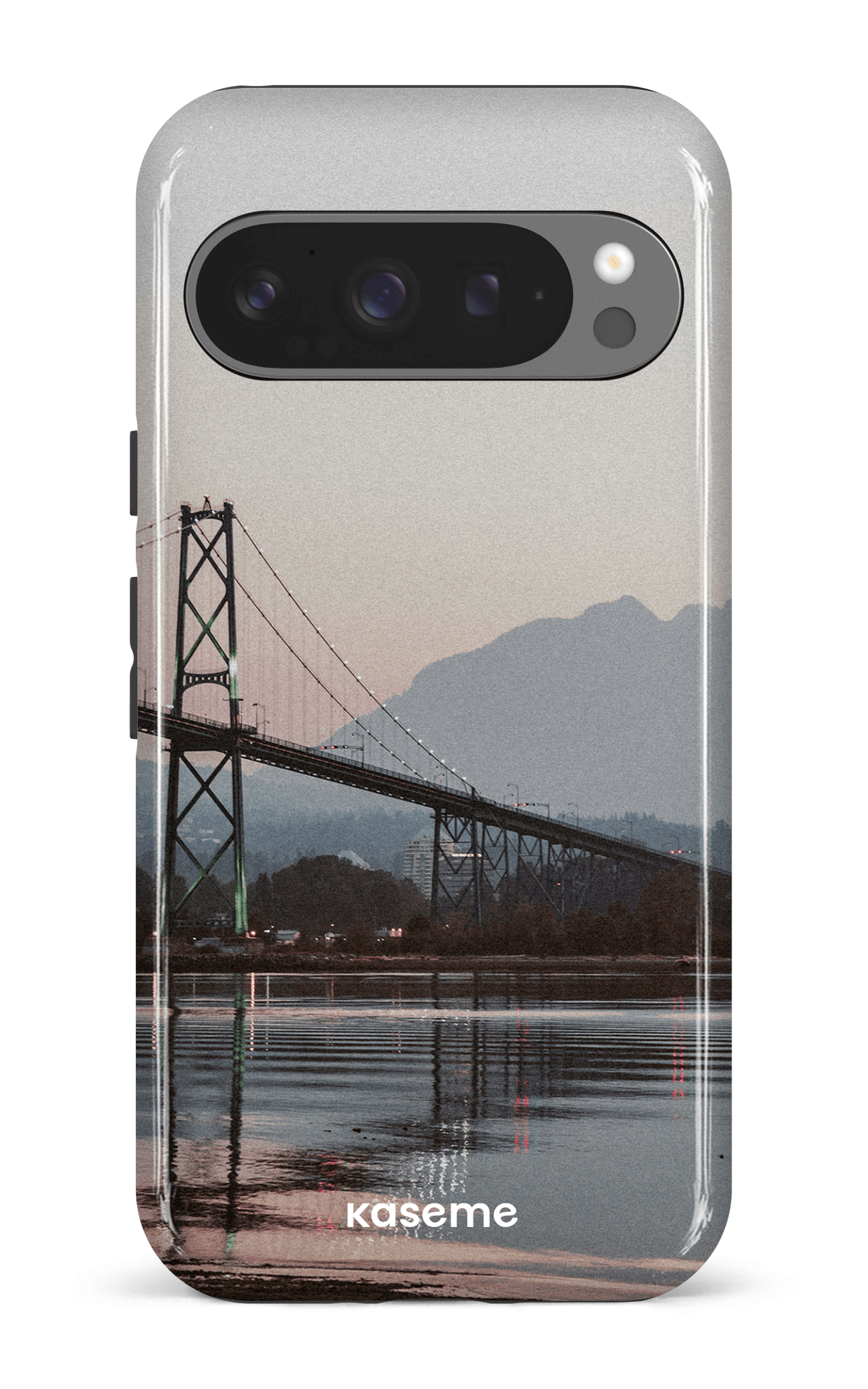 Google Pixel 9 Pro Impact (Gloss) Lions View -