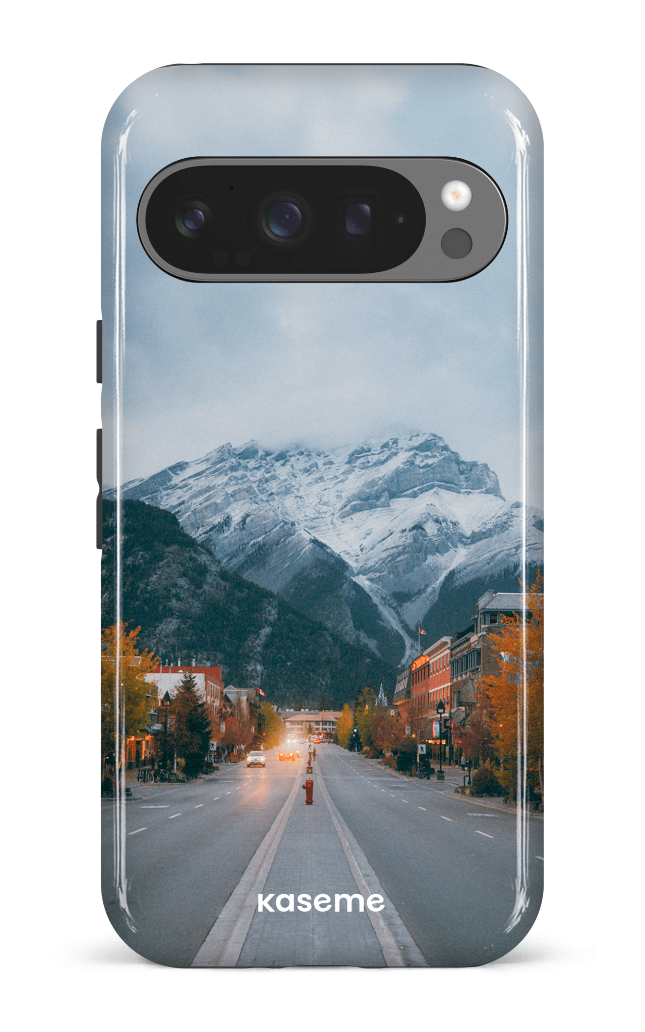 Google Pixel 9 Pro Impact (Gloss) Whistler Pines -