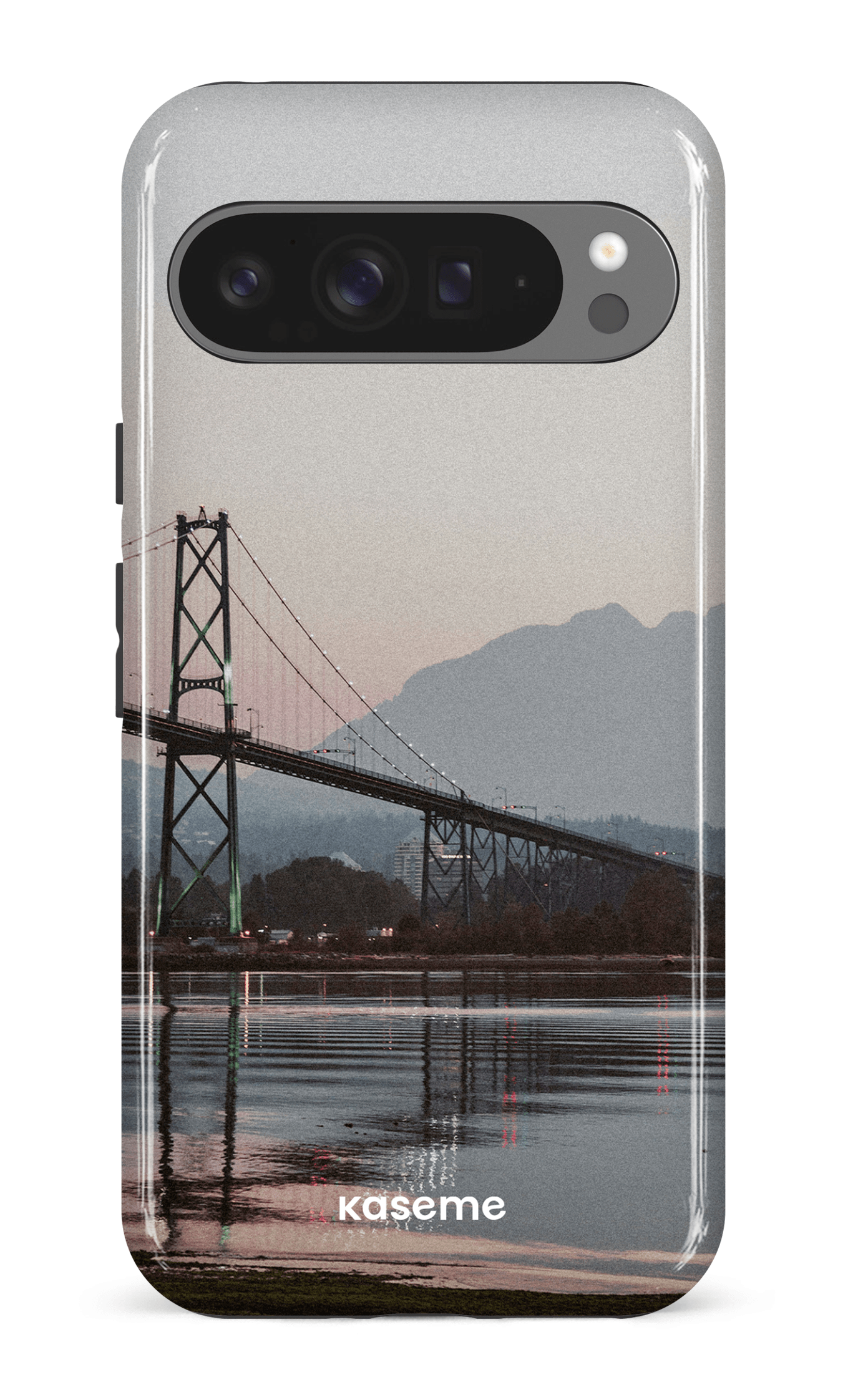 Google Pixel 9 Pro XL Impact (Gloss) Lions View -