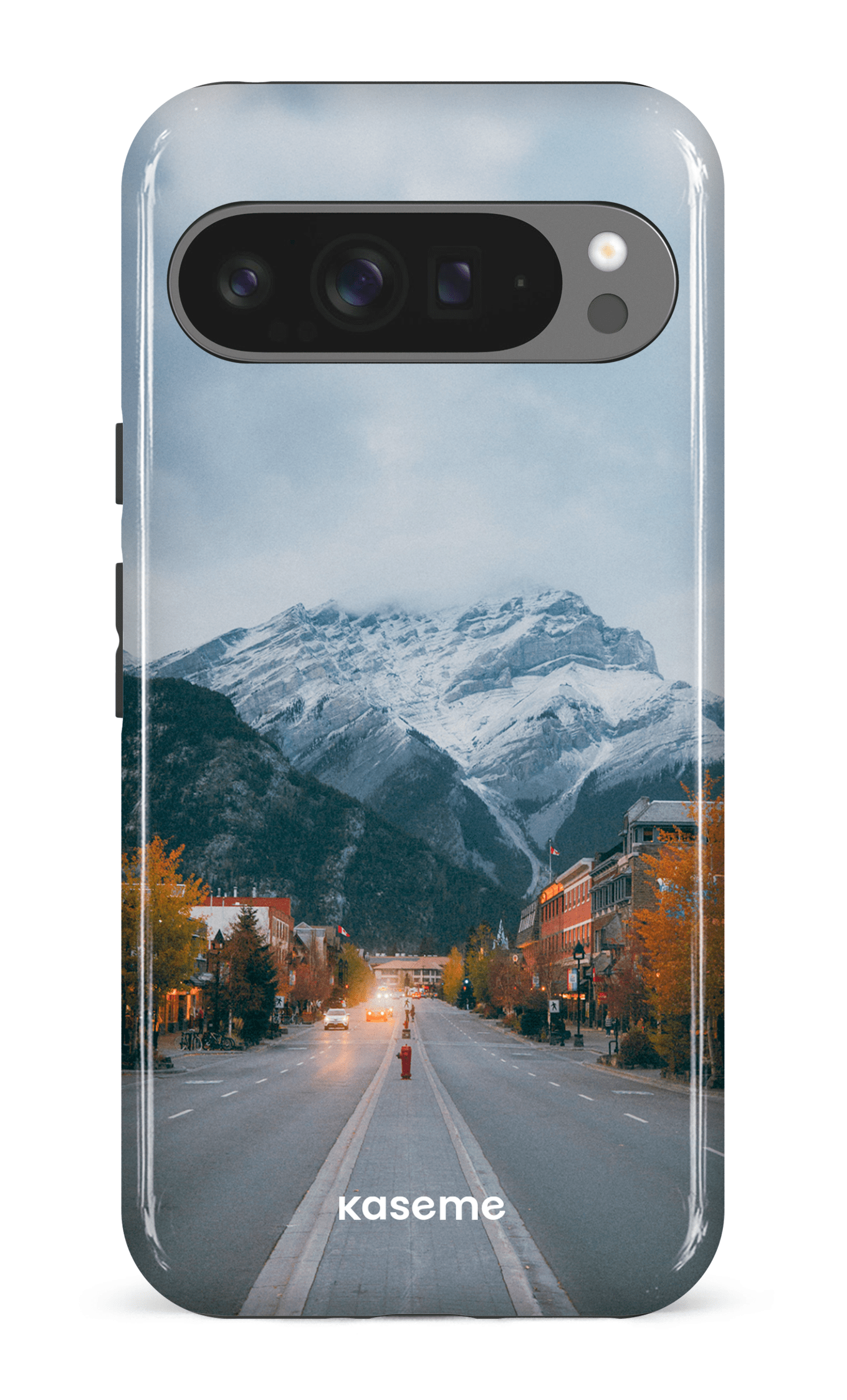 Google Pixel 9 Pro XL Impact (Gloss) Whistler Pines -