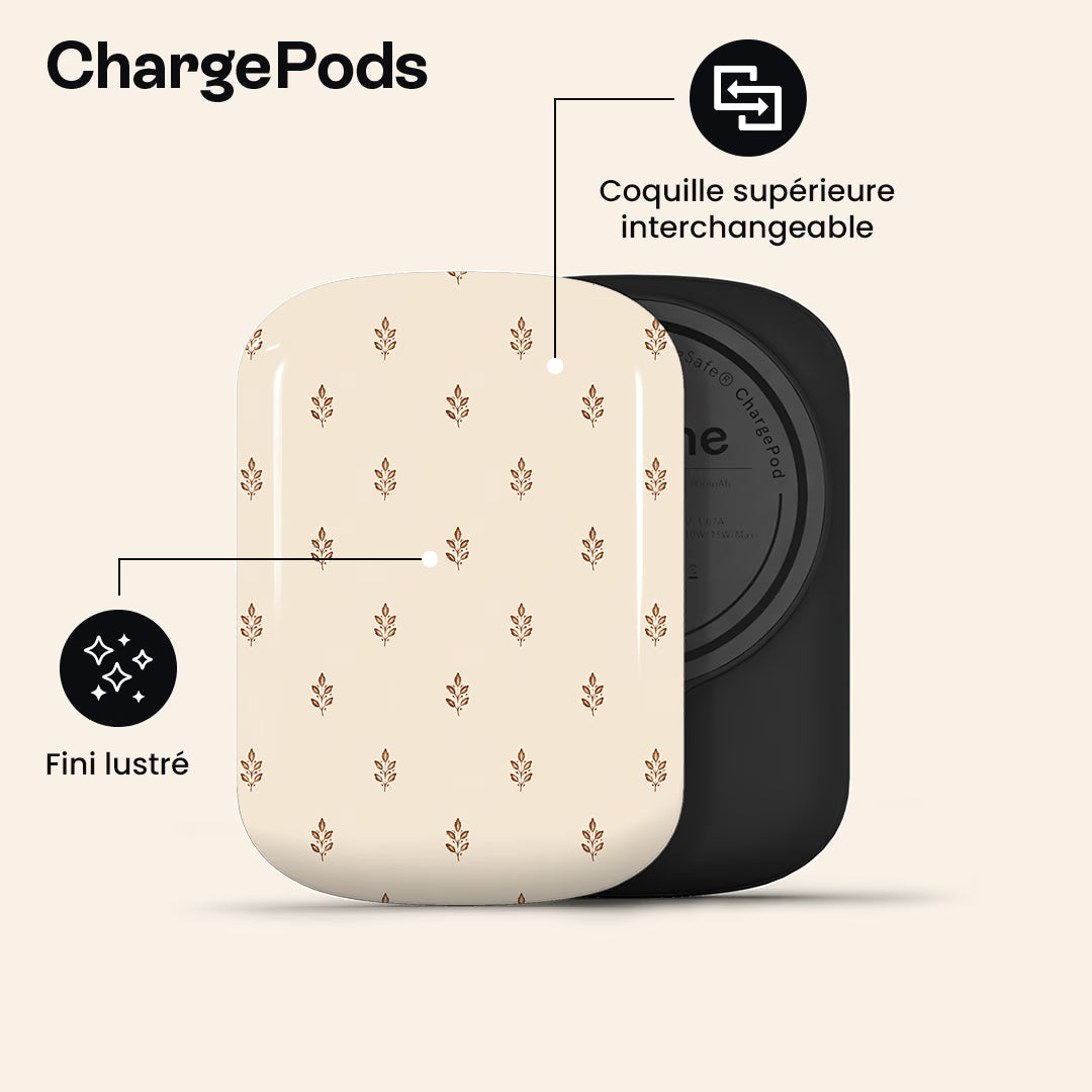 Montrose ChargePod Thumbnail fr ChargePods 02