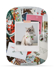 Custom - ChargePod - Shell only