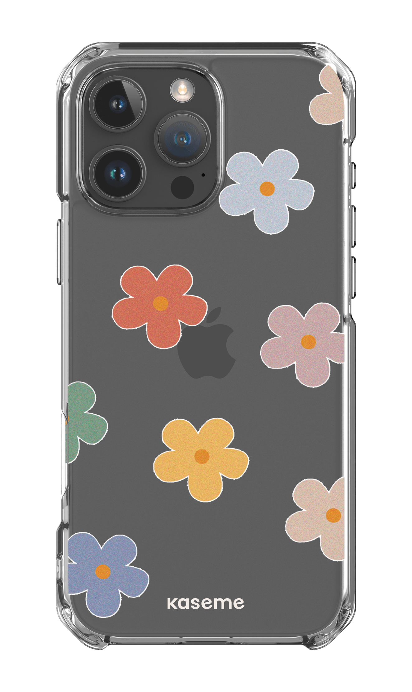  Woodstock Big Clear Case -