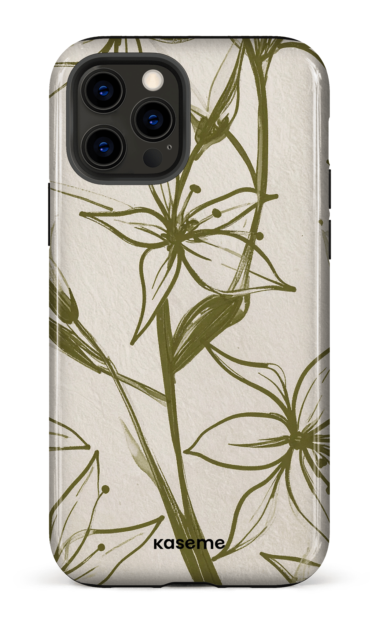 iPhone 12 Pro Tough Everla -