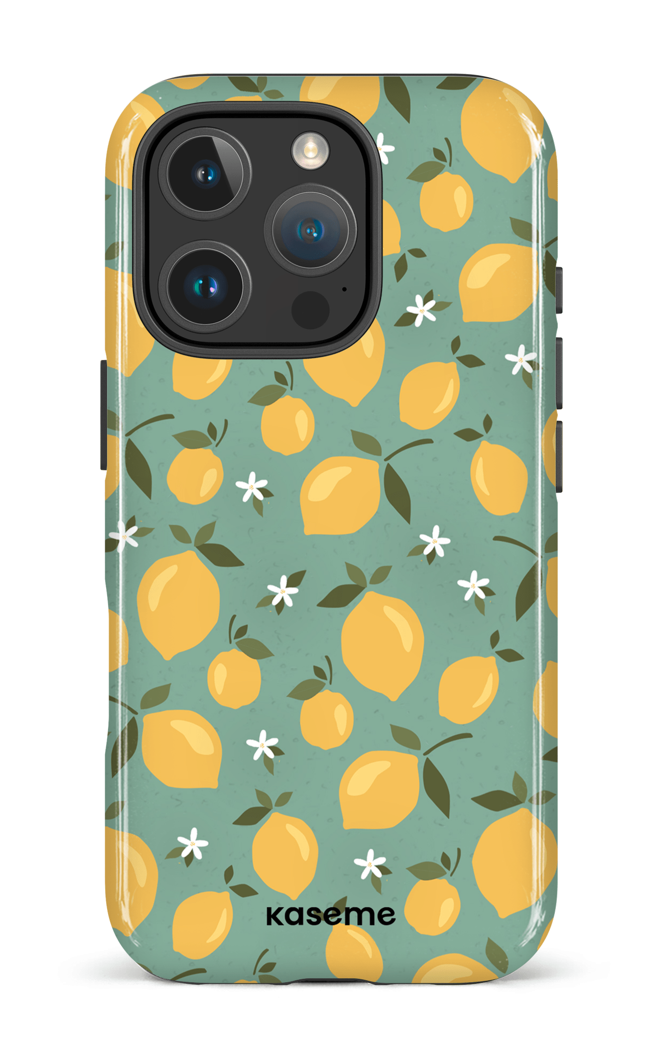 iPhone 16 Pro Impact Case Freshie -