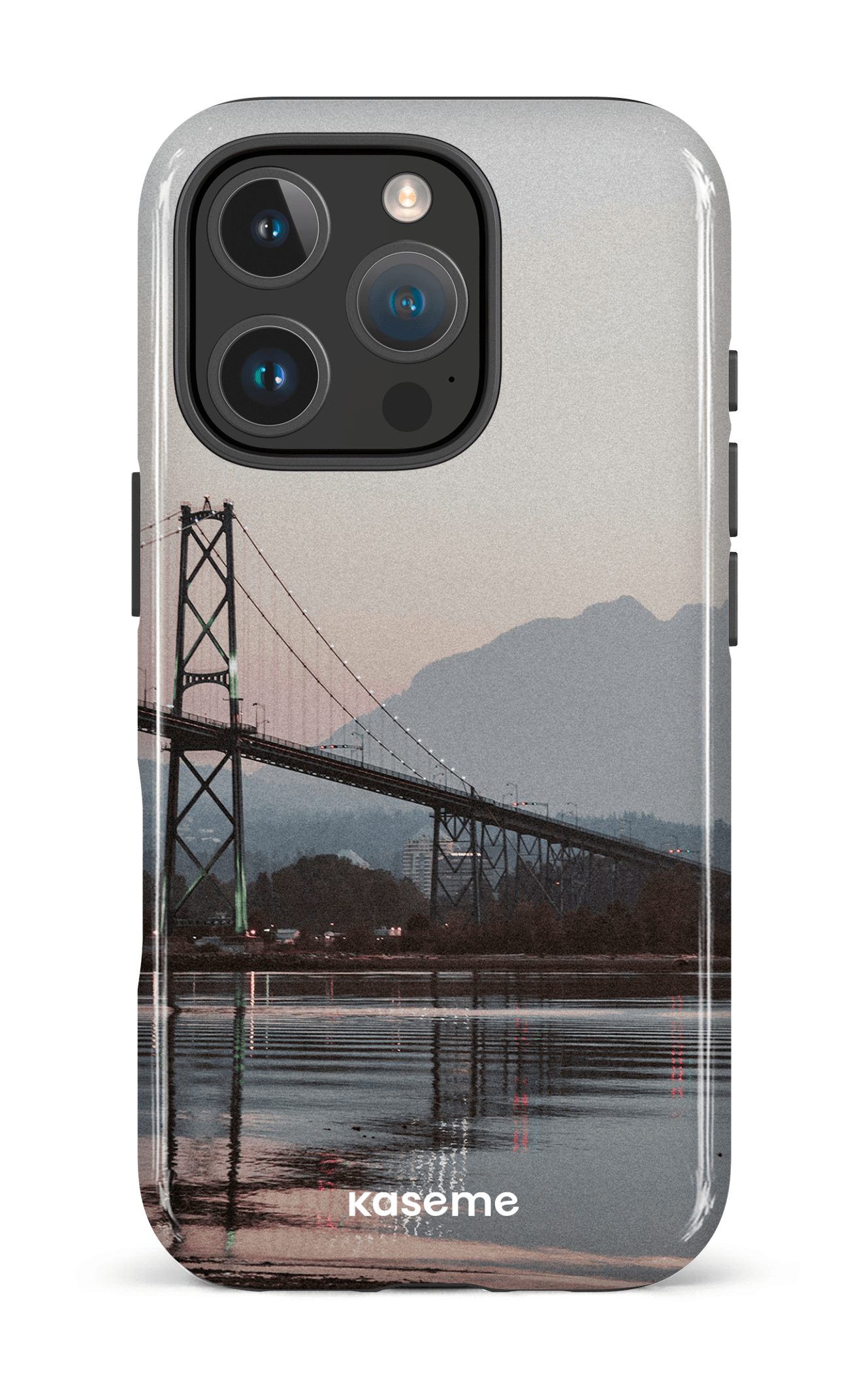 iPhone 16 Pro Impact Case Lions View -