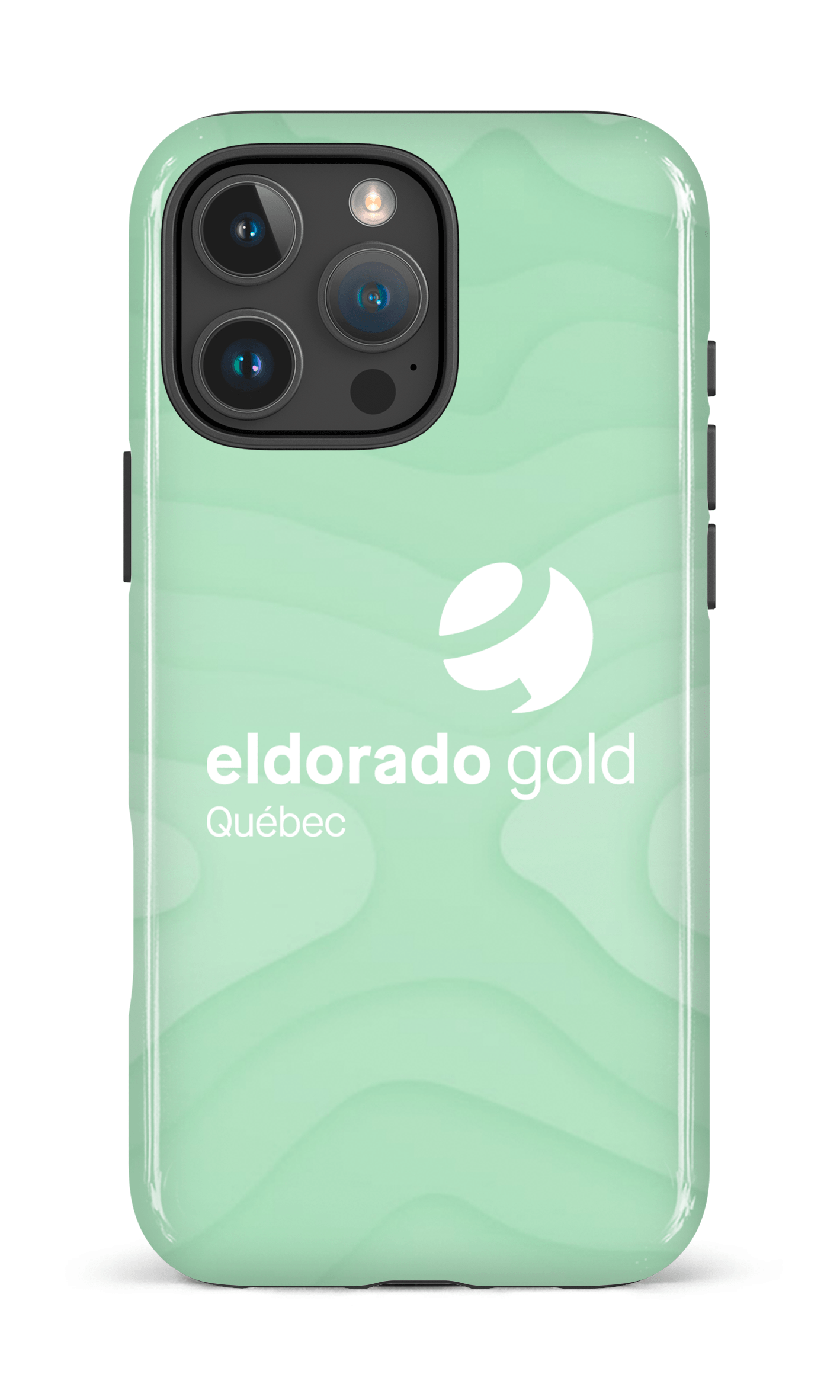 iPhone 16 Pro Max Impact Case EG Flora -