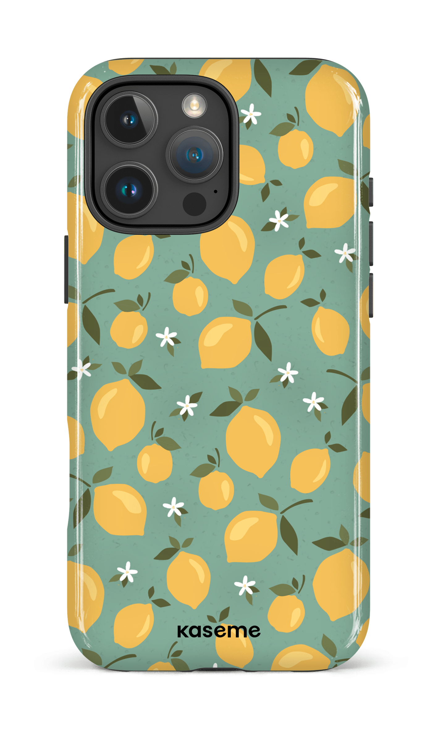 iPhone 16 Pro Max Impact Case Freshie -