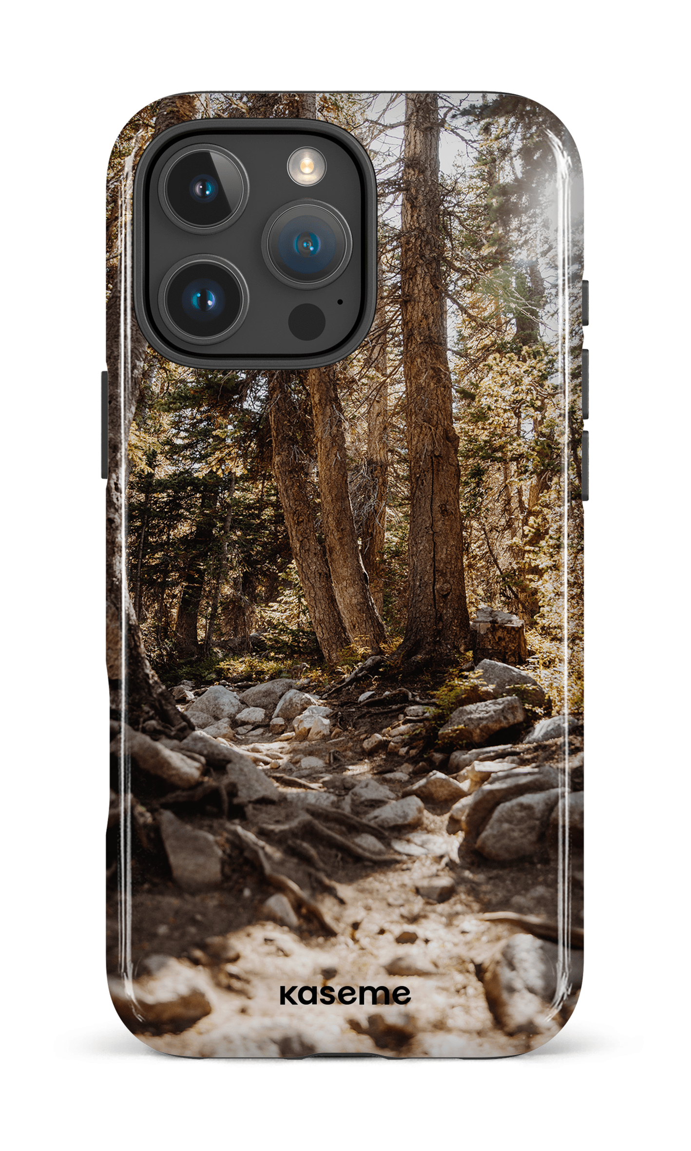 iPhone 16 Pro Max Impact Case Lane -