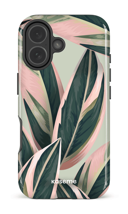 iPhone 17 Impact Case Tricolor -