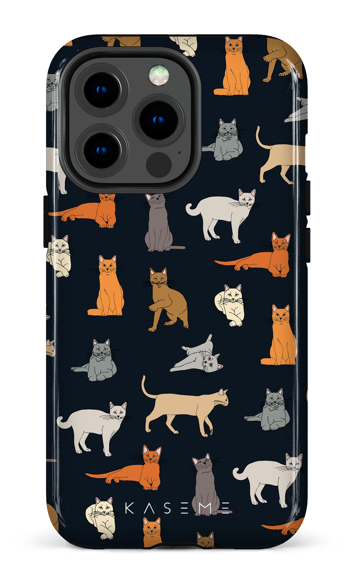 Kitty - iPhone 13 Pro
