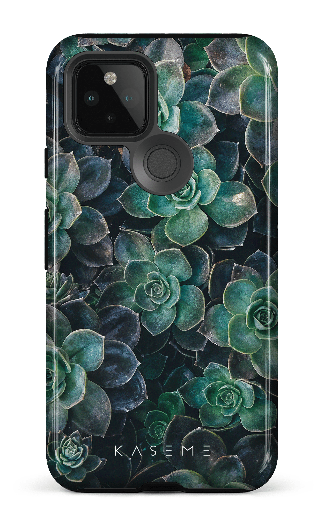 Succulente - Google Pixel 5